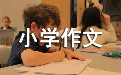 我讀西游記小學(xué)作文