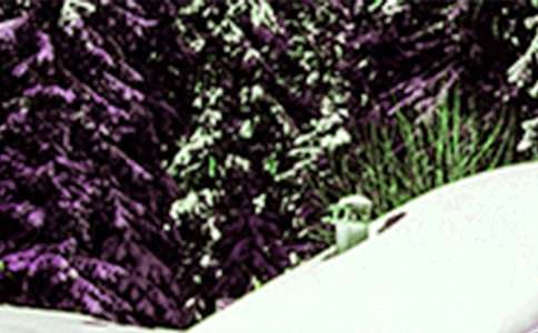 Сѩ���İ�(����15ƪ)