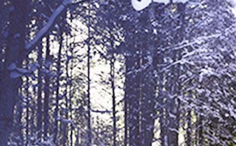 Сѩ��(ji��)��ů�Ĝ�ů��ף���Z��ȫ