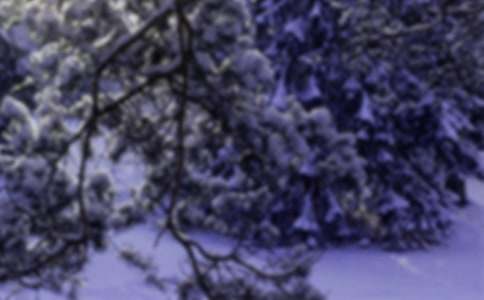 小雪養(yǎng)生粥