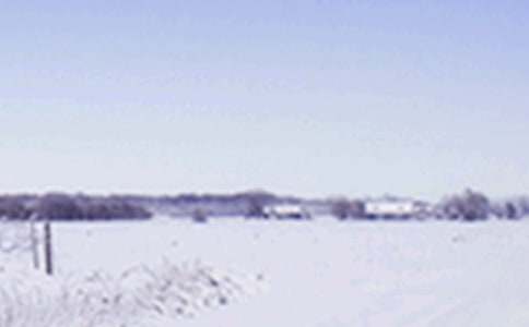 2016年小雪是哪天