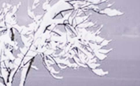 小雪節(jié)氣介紹暖心文案