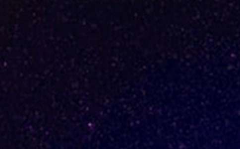 仰望星空與腳踏實(shí)地作文