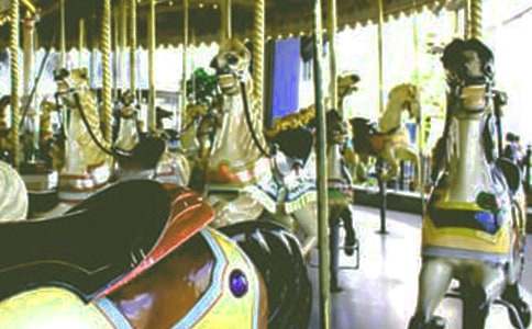 ���Dľ�R����