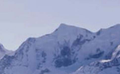 ������ѩɽ����(15ƪ)