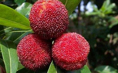 ��÷������