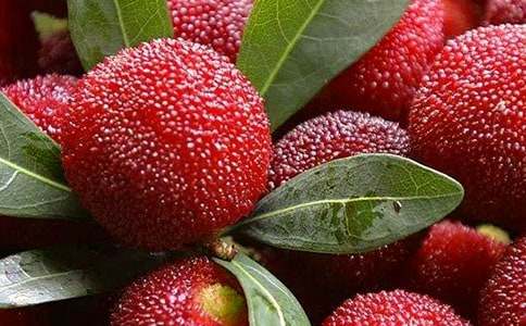 ��÷�Nֲ��ُ��ͬ