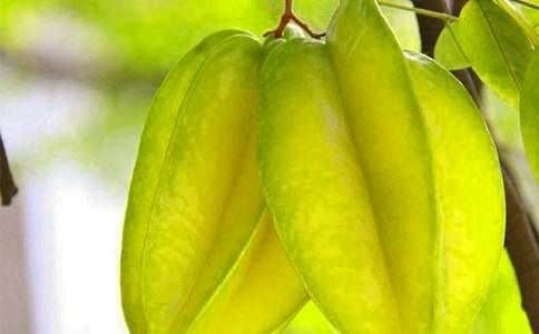 �������ҡ��u�n�塾����4ƪ��