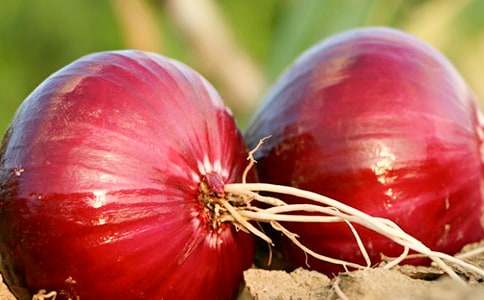 ���[�^�v�Uӛ�x���(��(y��u)��)