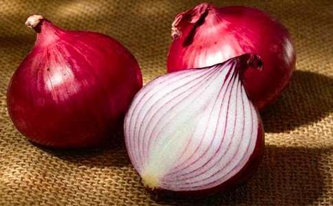 洋蔥頭歷險(xiǎn)記讀后感合集(14篇)