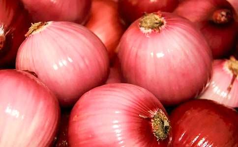 �����[�^�v�Uӛ���x���[��(y��u)]