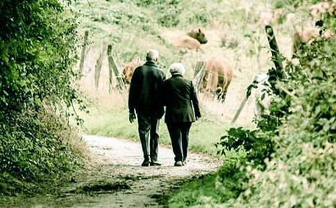 【精品】寫爺爺?shù)淖魑?篇