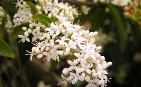 С�����M(m��n)�����ģ�ҹ��(l��i)��