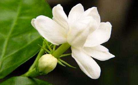 ҹ��(l��i)�����ģ���(y��u)�x15ƪ��