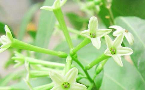 [��(y��u)]ҹ��������