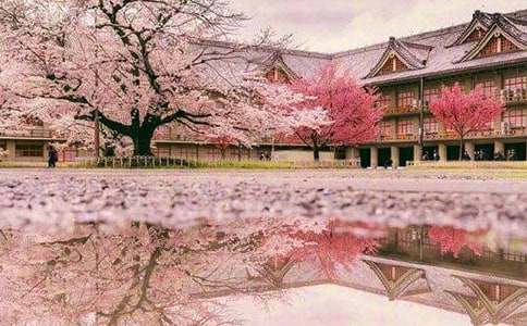 ���ѻ��ֵ�����