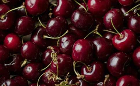 ����ҏV�������Z(y��)