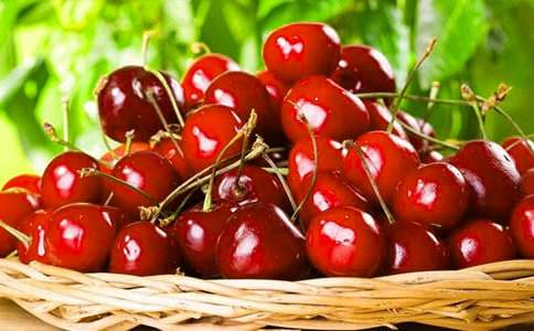 母愛的偉大-讀《櫻桃樹去散步》有感