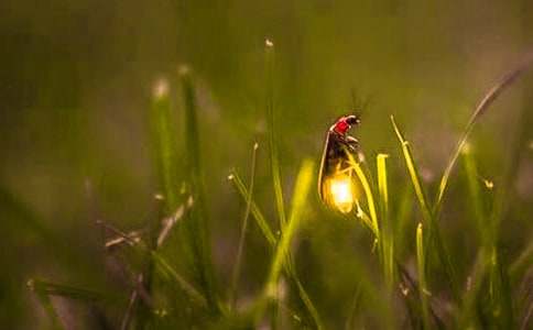 Ξ���x����(15ƪ)