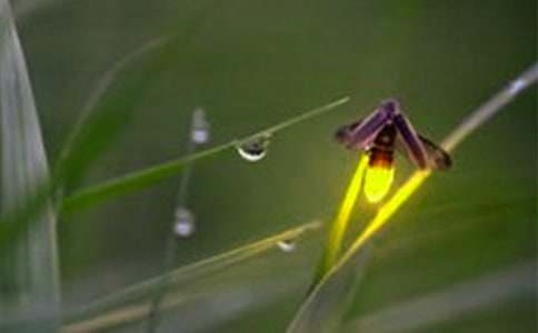 Ξ���x֮Ĺ�^���15ƪ