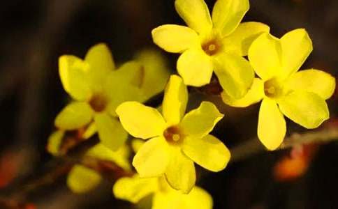 ӭ����С�W(xu��)����