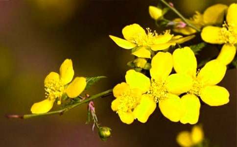 ��ӭ����������