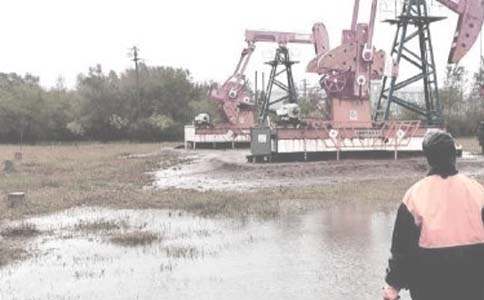 �����(x��)�ĵ��w��