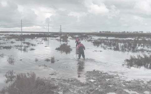 勝利油田勞務工待遇如何