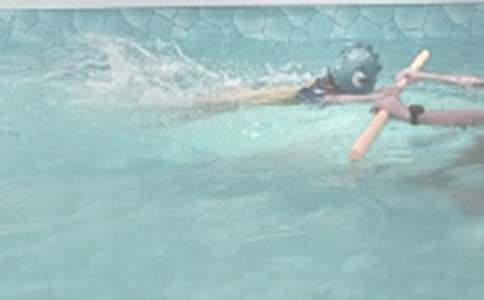 去游泳館游泳作文