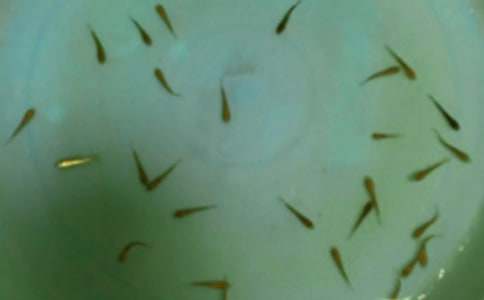 �����x���~��ُ�N��ͬ����