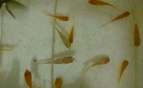 �~��ُ�N��ͬ���\15ƪ