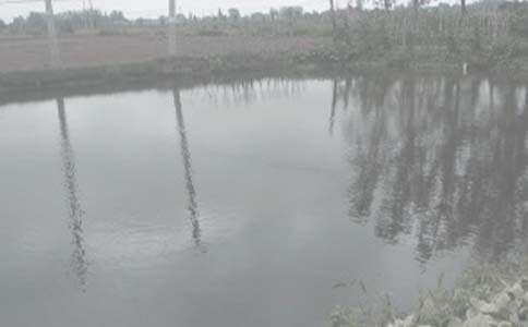 �~(y��)���а���ͬ����15ƪ