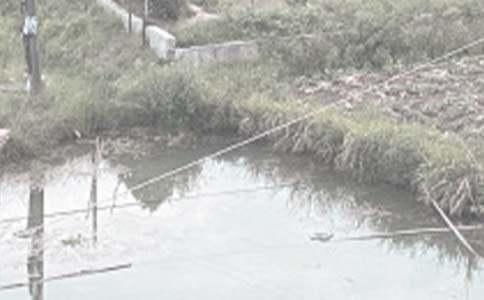 農(nóng)村魚塘承包合同