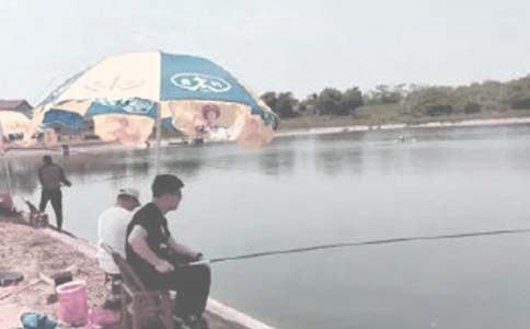 農(nóng)村魚塘承包合同匯編15篇