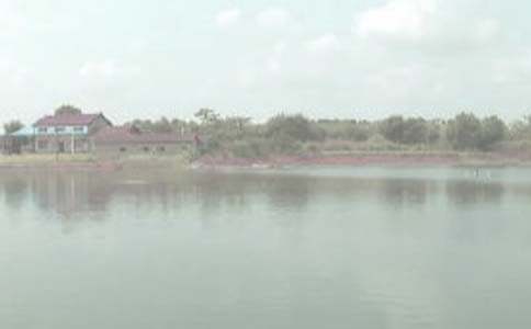 �r(n��ng)��а��~�����κ�ͬ�����x5ƪ��