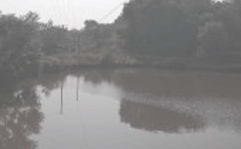 農村魚塘承包合同