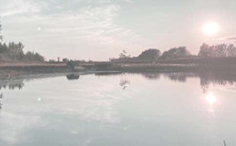 �����~���а���ͬ����