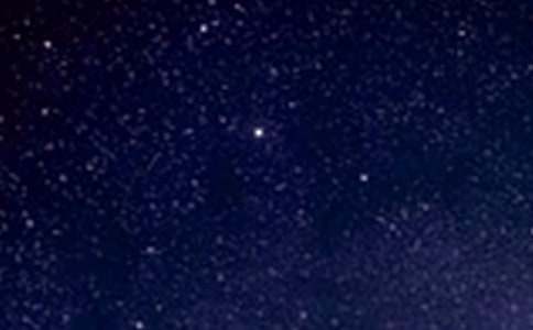 �����XĤ����