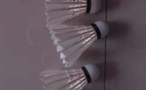 �����䣩����ë������