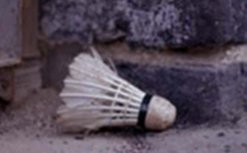 ����ë������10ƪ