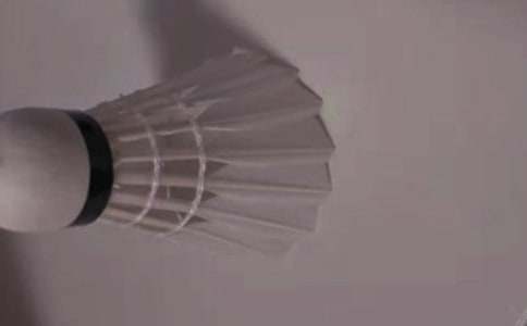 一場激烈的羽毛球賽作文