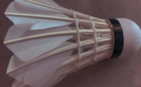 (��(y��u)�x)����ë������