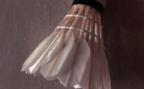 關(guān)于打羽毛球的作文