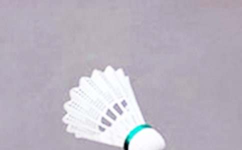 打羽毛球作文精品(15篇)