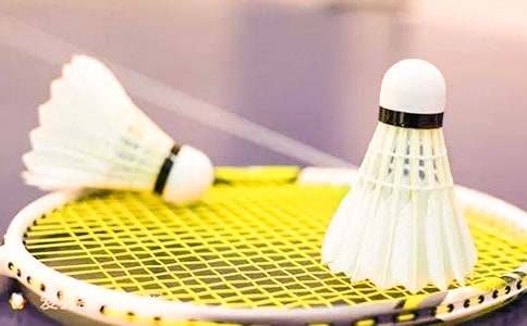 打羽毛球作文(必備15篇)