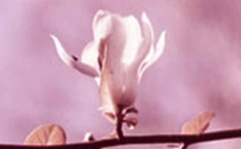 ���m�����ąR��[15ƪ]