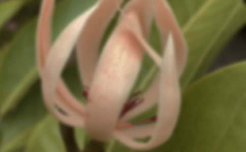 [�]]���m������