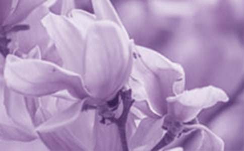 ���m�����B(y��ng)ֳ����