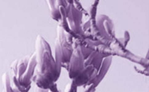 ���]�����m������15ƪ