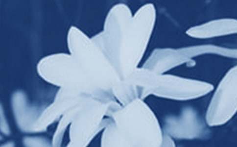 ���m������(����15ƪ)